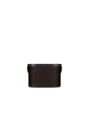Bang & Olufsen Beosound A5 Taşınabilir Kablosuz Hoparlör