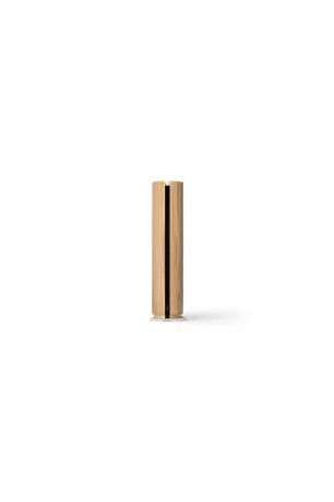 Bang & Olufsen Beosound Emerge Kablosuz Hoparlör