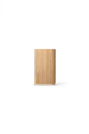 Bang & Olufsen Beosound Emerge Kablosuz Hoparlör